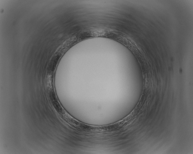 X0000067350598200603310902