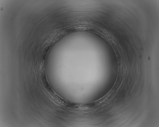 X0000067350601200603310902
