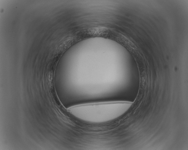 X0000067350605200603310901