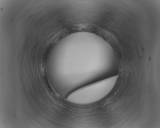 X0000067350607200603310901