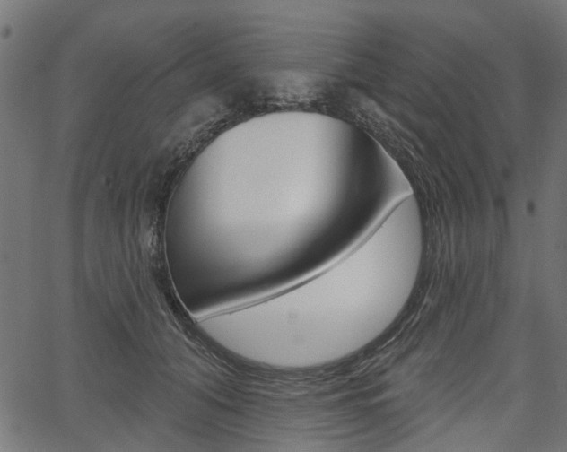 X0000067350608200603310901