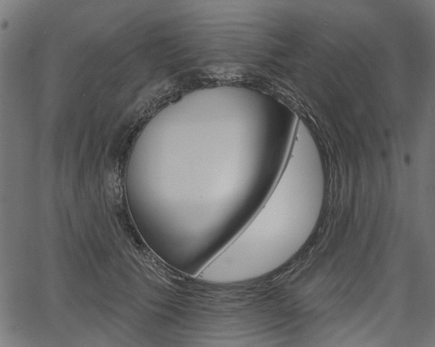 X0000067350609200603310901