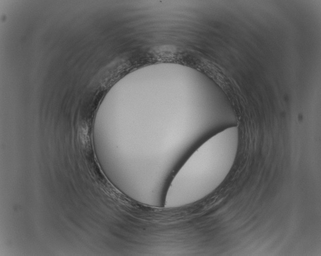 X0000067350610200603310901