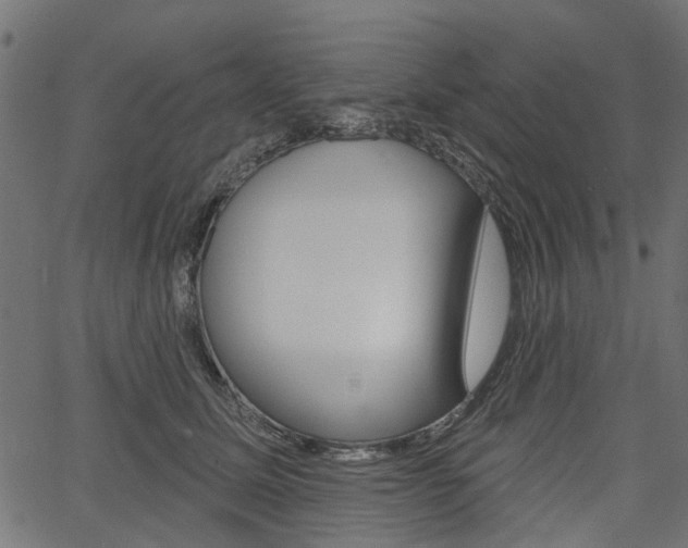 X0000067350611200603310901