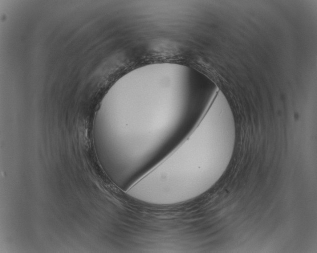 X0000067350615200603310901