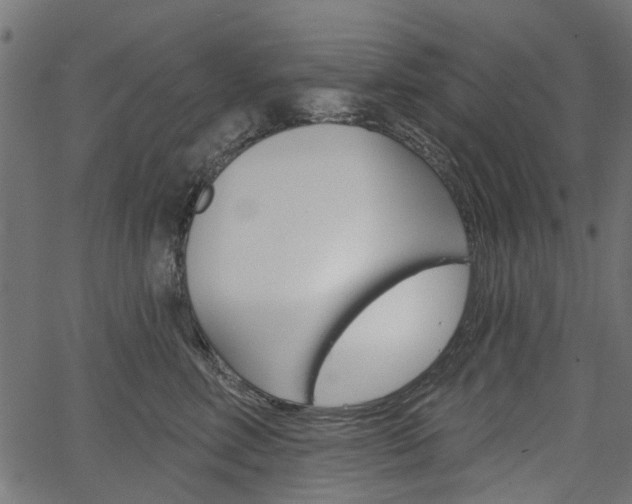 X0000067350618200603310901