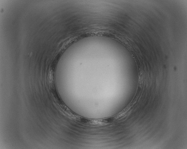 X0000067350623200603310901