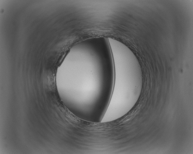 X0000067350624200603310901