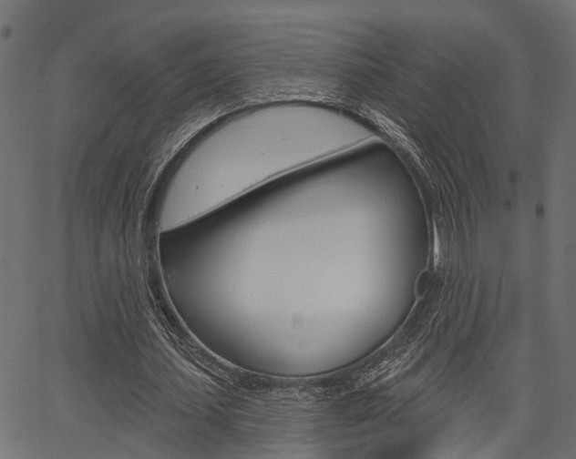 X0000067350627200603310900