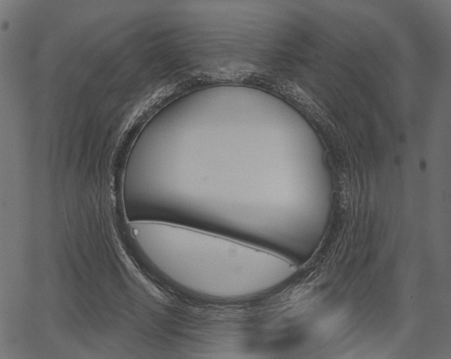 X0000067350634200603310901
