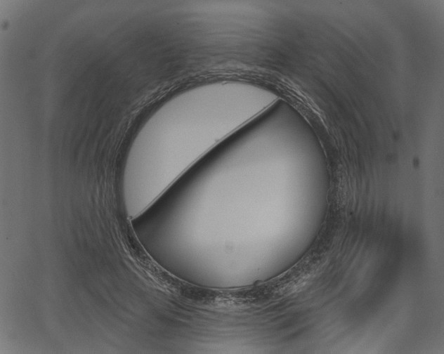 X0000067350641200603310901