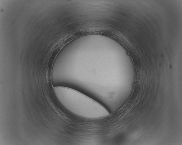 X0000067350644200603310901
