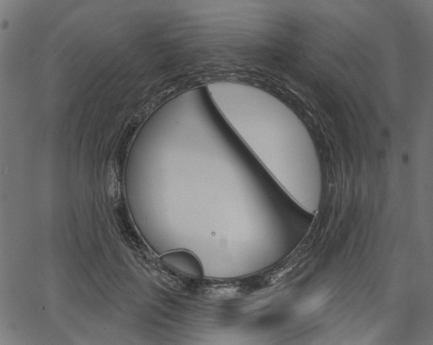 X0000067350651200603310901
