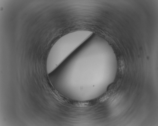 X0000067350664200603310901