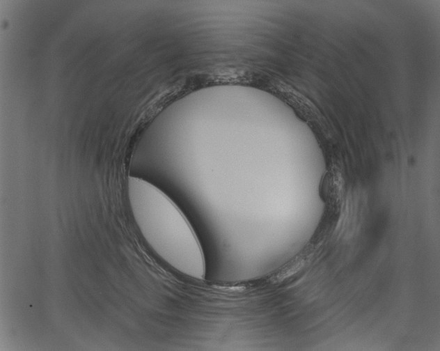X0000067350665200603310901