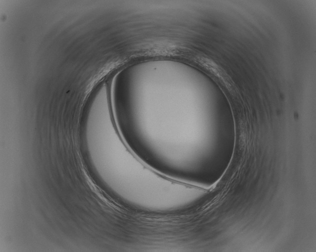 X0000067350677200603310900