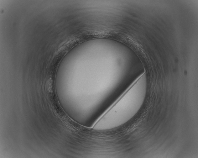 X0000067350689200603310900