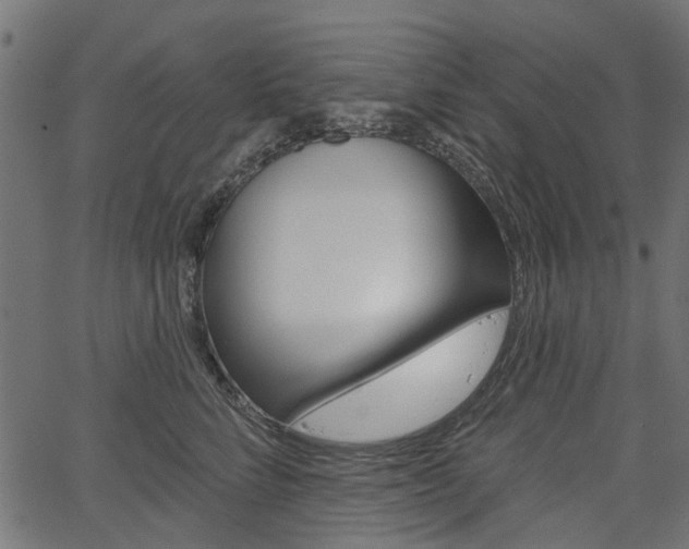 X0000067350712200603310900