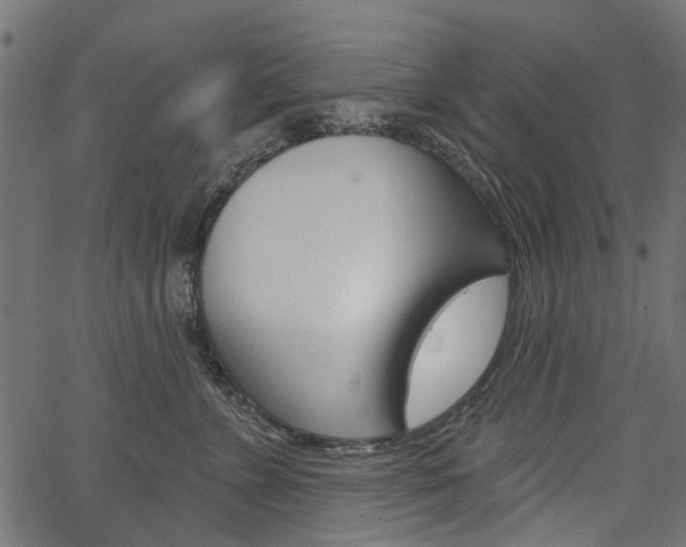 X0000067350715200603310900
