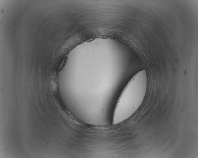 X0000067350719200603310900