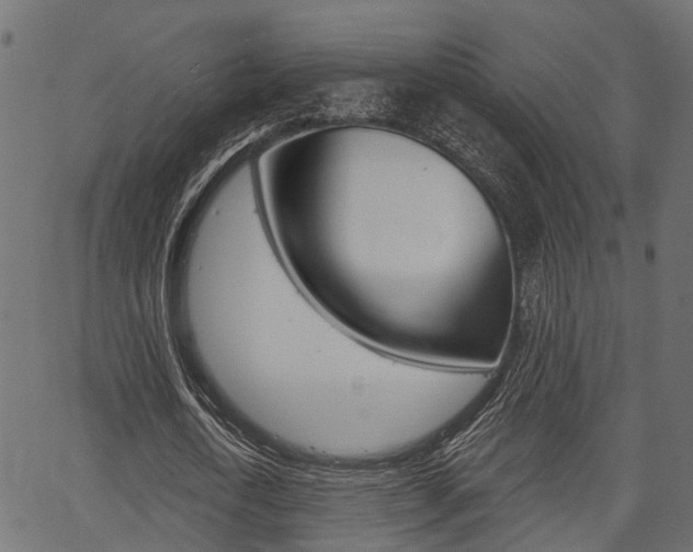 X0000067350722200603310859