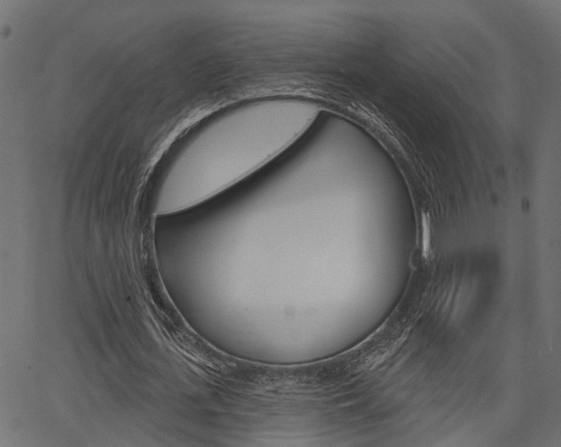 X0000067350723200603310859