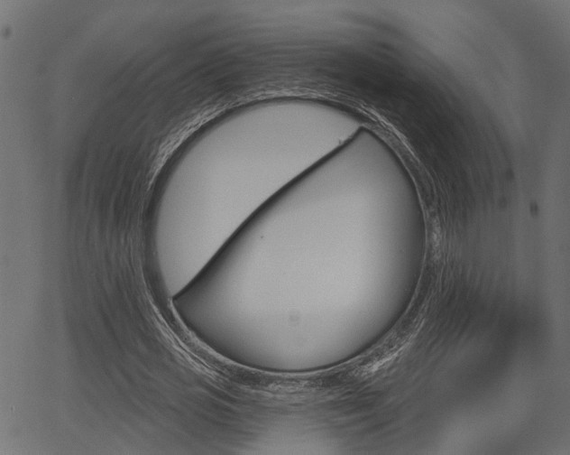 X0000067350725200603310859