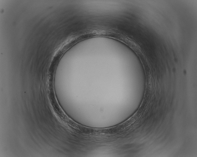 X0000067350730200603310859
