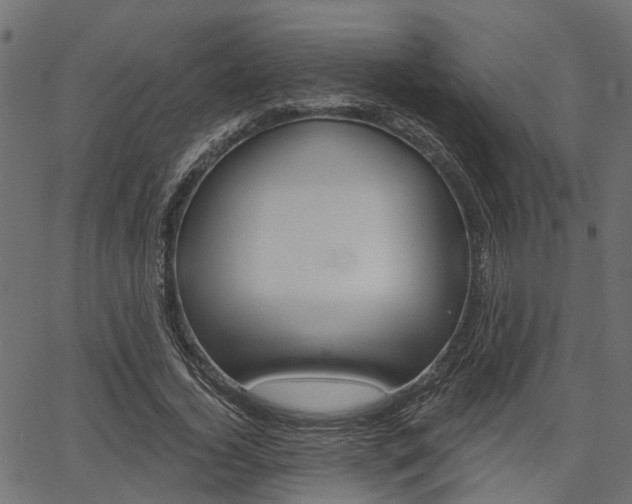 X0000067350732200603310859