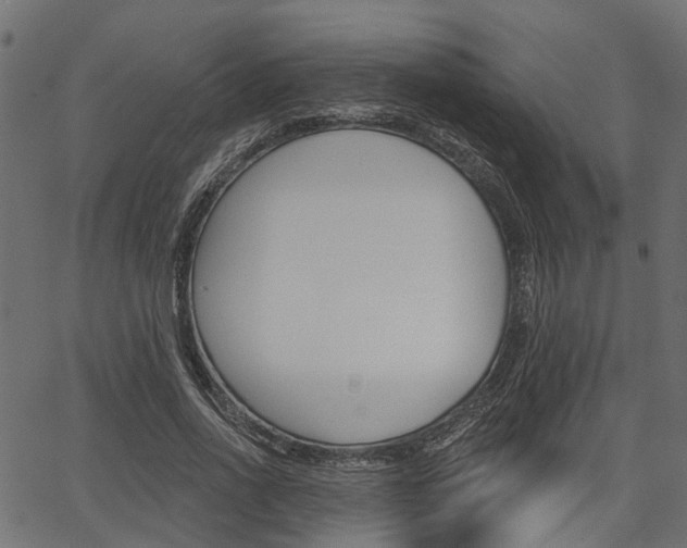 X0000067350734200603310859