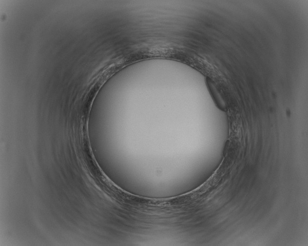 X0000067350744200603310859