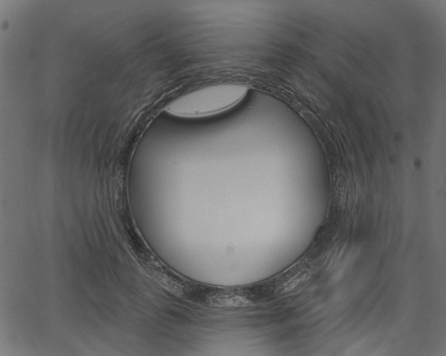 X0000067350747200603310859