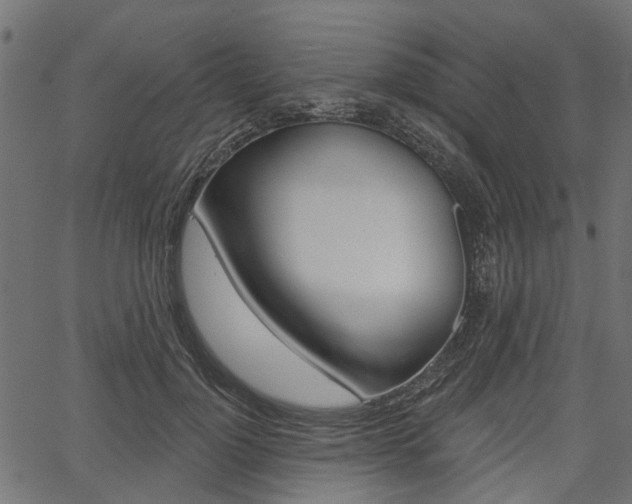 X0000067350748200603310859