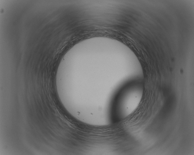 X0000067350750200603310859
