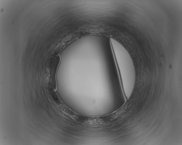X0000067350752200603310859
