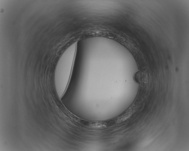 X0000067350754200603310859