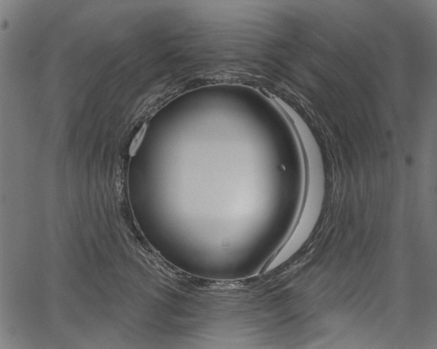 X0000067350762200603310859