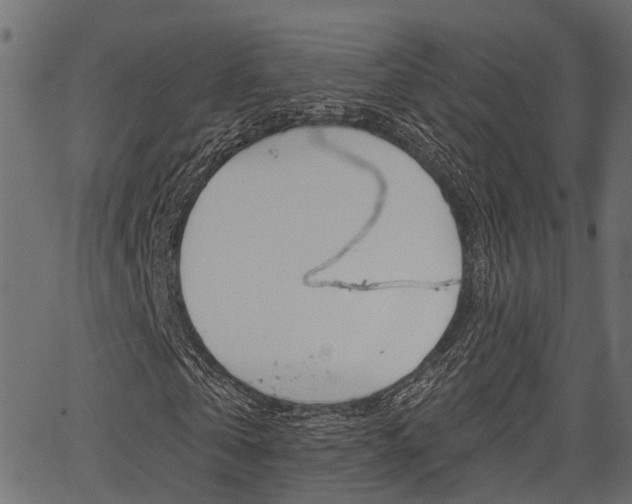 X0000067350769200603310859