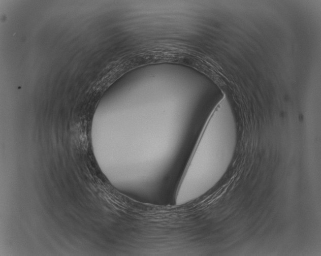 X0000067350771200603310859