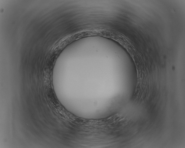 X0000067350773200603310859