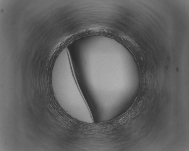 X0000067350776200603310859