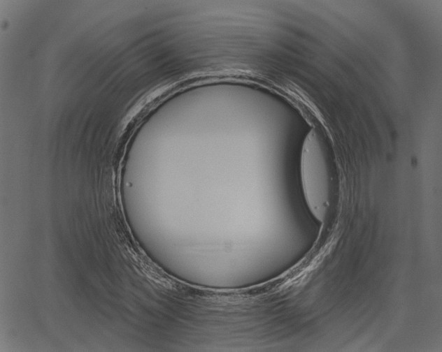 X0000067350781200603310859