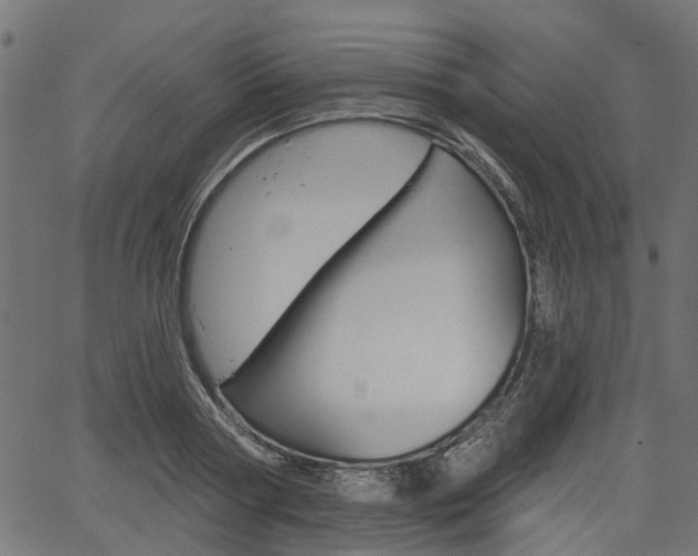 X0000067350794200603310858