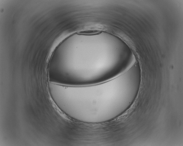 X0000067350816200603310858