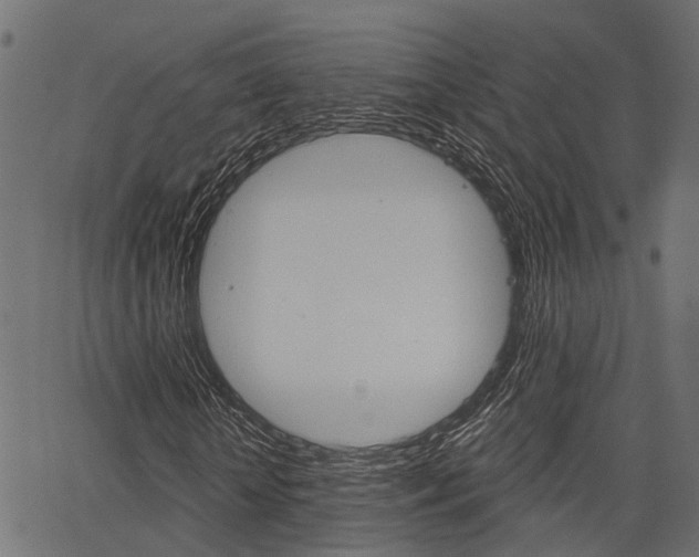 X0000067350818200603310857