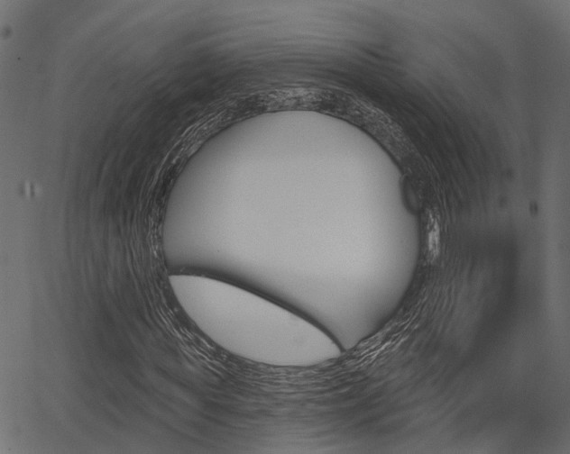 X0000067350819200603310857