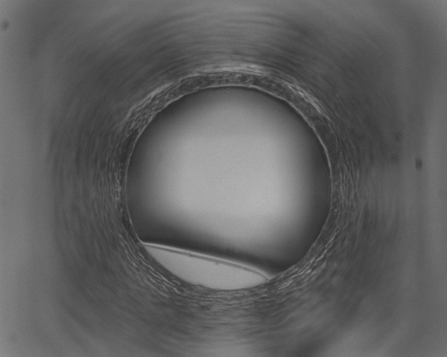 X0000067350821200603310857