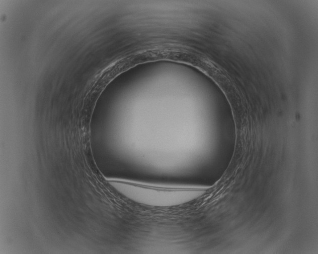 X0000067350822200603310857