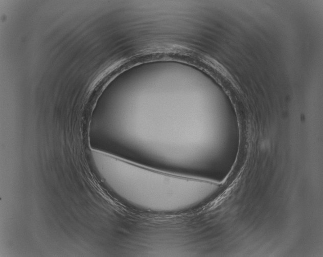 X0000067350826200603310857