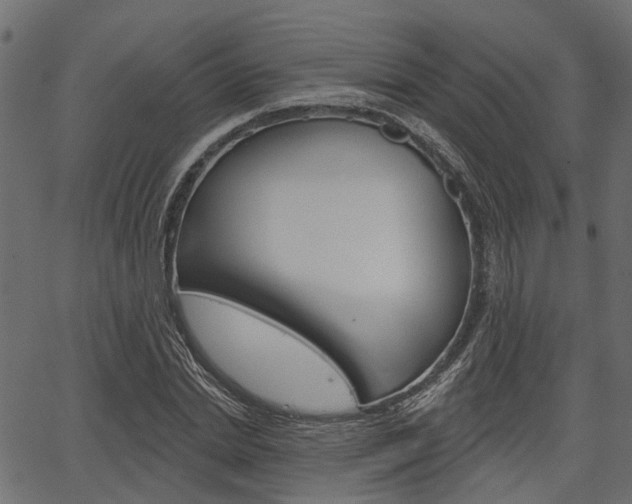 X0000067350830200603310857